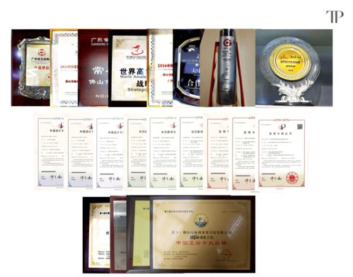 缇派多功能智能卫浴工程技术研究中心荣获市级认定，引领技术咨询新篇章