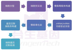 合生基因 基因沉默技术的前沿咨询与行业应用